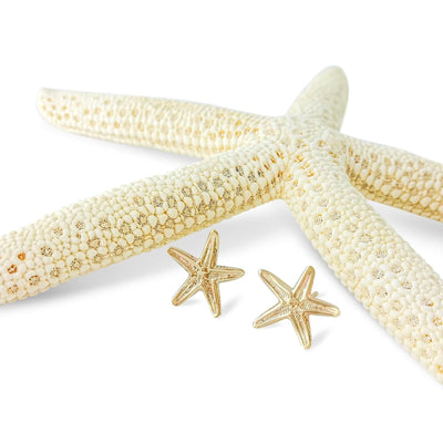 Small Gold Starfish Earrings